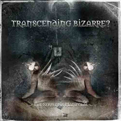 Cosmic Zero Equation by Transcending Bizarre?