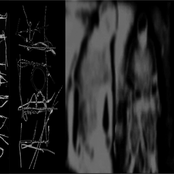 Discography