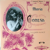 La Gatita Blanca