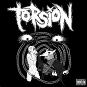 Torsion: S/T