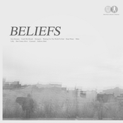 Violets by Beliefs