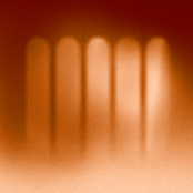 Vivaldi (and 74 musicians)