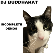 INCOMPLETE DEMOS