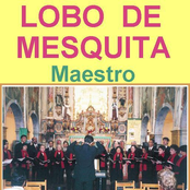 Lobo De Mesquita