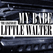 Roller Coaster by Little Walter And His Jukes