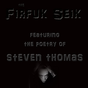 The Poetry of Steven Thomas