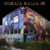 Bizkaia kalea 36