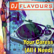 dj flavours