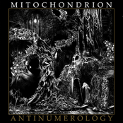 Insummation by Mitochondrion