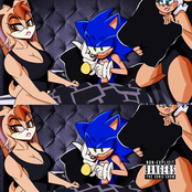 The Sonic Show