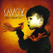 Whalebone by Savoy