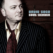 David Gogo: Soul Bender