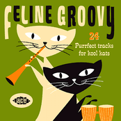 Feline Groovy: 24 Purrfect Tracks for Kool Kats
