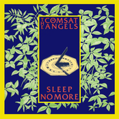 Dark Parade by The Comsat Angels