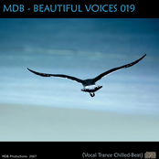 Beautiful Voices 019