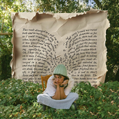 into the undergrowth