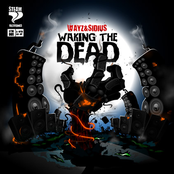 Steam Recordings - STM001