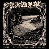 Where Flesh Transcends… Man Stands Tall