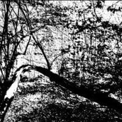 Visions of These Desolate Lands