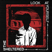 The Sheltered: Look at Yourself