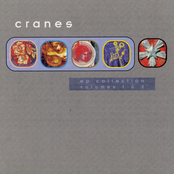 Dance Of The Furies by Cranes