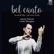 Antoine Tamestit: Bel Canto: The Voice of the Viola