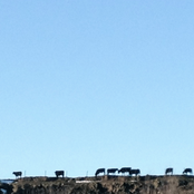 Find The Rhythm In The Noise