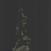 Unyielding Devotion to the Lights Essence