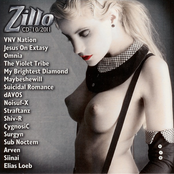 Zillo CD-10/2011