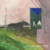 Cicada Rhythm: Don't Think Twice, It's All Right