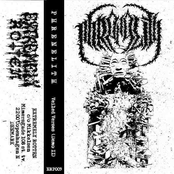 Veiled Verses (Demo II)