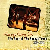 The Spongetones: Always Carry On: The Best If The Spongetones 1980-2005