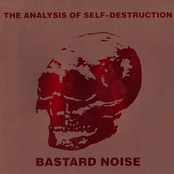 Bastard Noise: The Analysis Of Self-destruction
