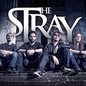 the stray