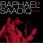 Never Give You Up by Raphael Saadiq