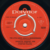 Two Little Ladies (Azalea & Rhododendron)