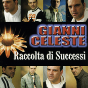 raccolta di successi