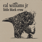 Little Black Crow