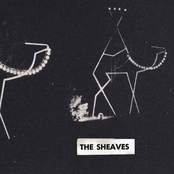 fascination concerns