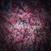 Blossom