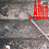 The Album