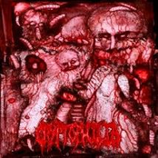Punctured Intestinal Lust