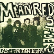 Last of the Teen Icons