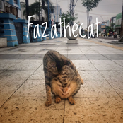 Cat at the Cafe 2