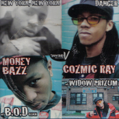New York, New York / Danger 12"