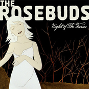 Silence By The Lakeside by The Rosebuds