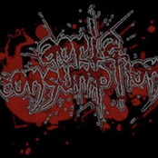 MFTAMFEMFAS EP
