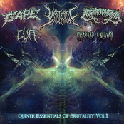 Quinte Essentials Of Brutality Vol.1