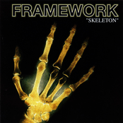 Skeleton