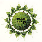 Organic Beats Vol. 1